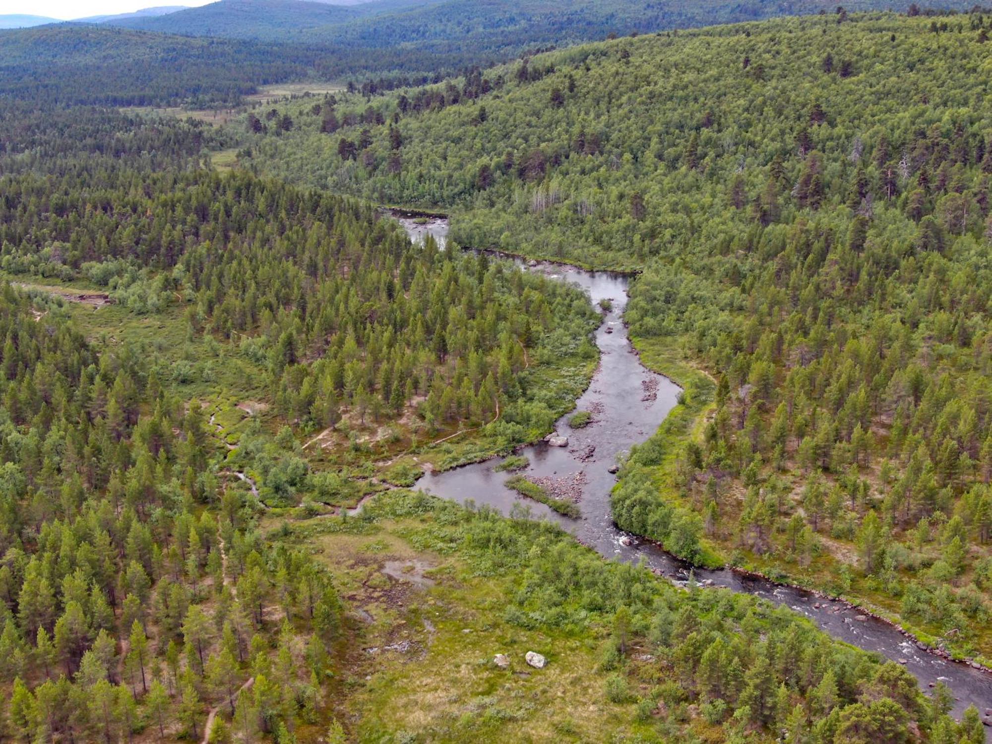 Muotkan Ruoktu Tunturikyla Inari Exterior foto